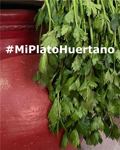  #MiPlatoHuertano